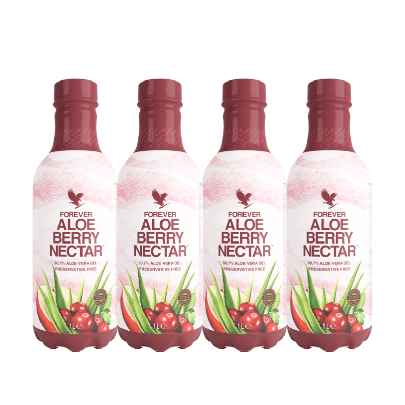 4-Pack Aloe Berry Nectar